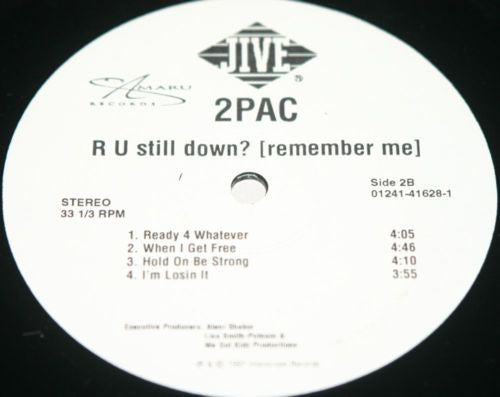 R U Still Down? [Remember Me]