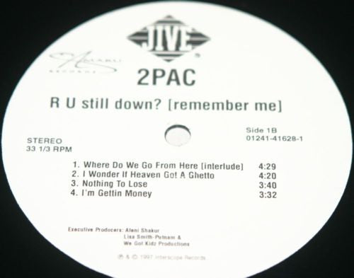 R U Still Down? [Remember Me]