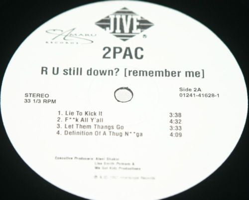 R U Still Down? [Remember Me]