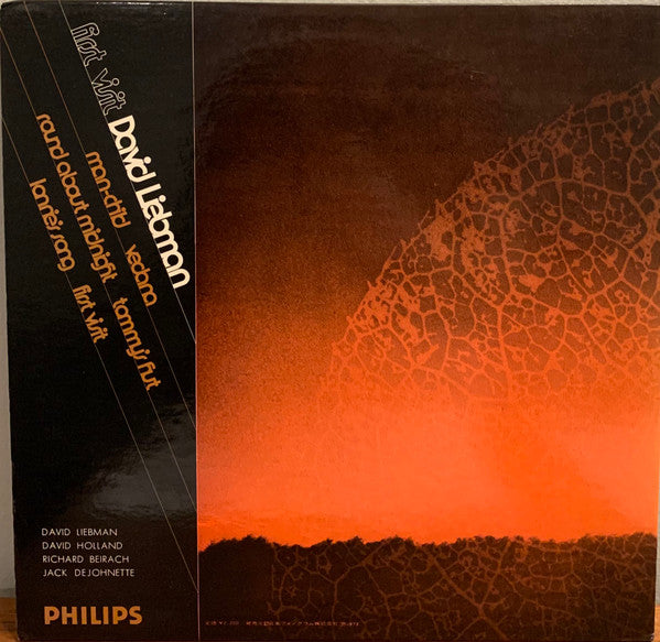 David Liebman - First Visit (LP, Album)